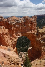 Bryce Canyon Arch